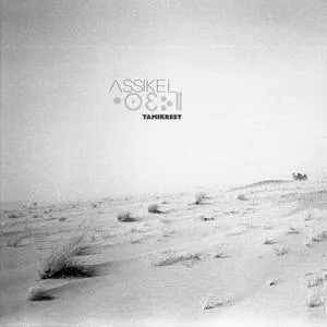 TAMIKREST – assikel (CD, LP Vinyl)