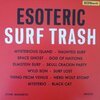 TAPE MAN – esoteric surf trash (LP Vinyl)