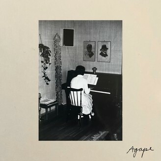 TARA NOME DOYLE – agape (LP Vinyl)