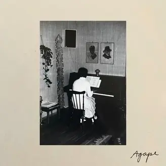 TARA NOME DOYLE – agape (LP Vinyl)