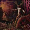 TAROT – glimpse of the dawn (CD, LP Vinyl)