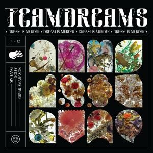 TEAMDREAMS (SIN FANG, SOLEY & ÖRVAR SMÁRASON) – dream is murder (LP Vinyl)
