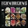 TEAMDREAMS (SIN FANG, SOLEY & ÖRVAR SMÁRASON) – dream is murder (LP Vinyl)