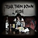 TEAR THEM DOWN – abide (7" Vinyl)