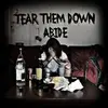 TEAR THEM DOWN – abide (7" Vinyl)