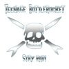 TEENAGE BOTTLEROCKET – stay rad (CD, LP Vinyl)