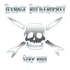 TEENAGE BOTTLEROCKET – stay rad (LP Vinyl)