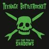 TEENAGE BOTTLEROCKET – they came from the shadows (LP Vinyl)