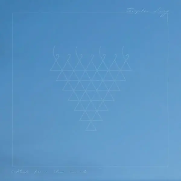 TEMPLE FANG – lifted from the wind (CD, LP Vinyl)