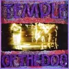 TEMPLE OF THE DOG – s/t (25th anniversary edition) (LP Vinyl)