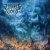 TEMPLE OF VOID – summoning the slayer (CD, LP Vinyl)