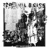 TERMINAL BLISS – brute err/ata (CD, LP Vinyl)