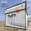 THE BATS – corner coming up (CD, LP Vinyl)