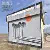 THE BATS – corner coming up (CD, LP Vinyl)