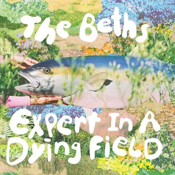 THE BETHS – expert in a dying field (CD, LP Vinyl)