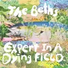 THE BETHS – expert in a dying field (CD)