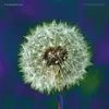 THE BEVIS FROND – focus on nature (CD, LP Vinyl)