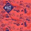 THE BURNING HELL – public library (CD)
