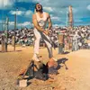 THE CHATS – half cut (CD, LP Vinyl)