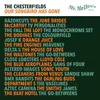 THE CHESTERF!ELDS – our songbirds has gone (7" Vinyl)