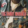 THE DANDY WARHOLS – thirteen tales from urban bohemia (LP Vinyl)