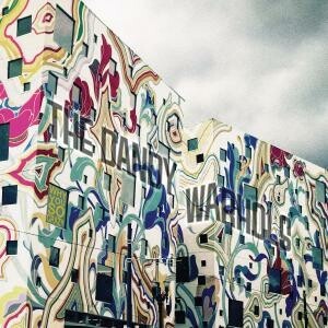 THE DANDY WARHOLS – why you so crazy? (CD, LP Vinyl)