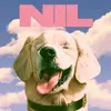 THE DIRTY NIL – fuck art (CD, LP Vinyl)