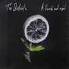 THE DISTRICTS – a flourish and a spoil (CD, LP Vinyl)