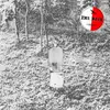 THE DRIN – down river in the distance (LP Vinyl)