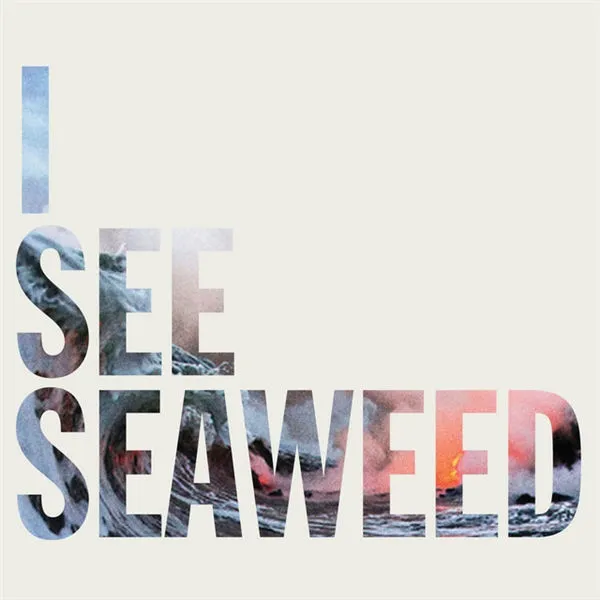 THE DRONES – i see seaweed (LP Vinyl)