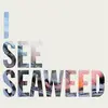 THE DRONES – i see seaweed (LP Vinyl)