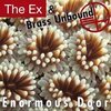 THE EX & BRASS UNBOUND – enormous door (CD, LP Vinyl)