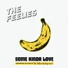 THE FEELIES – some kinda love: the music of velvet underground (LP Vinyl)