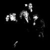THE GO-BETWEENS – fountaines of youth (CD, LP Vinyl)