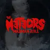 THE METEORS – madman roll (CD, LP Vinyl)