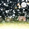 THE NOTWIST – vertigo days - live from alien research center (LP Vinyl)