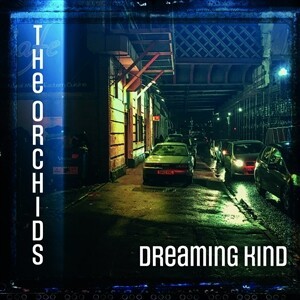 THE ORCHIDS – dreaming kind (CD, LP Vinyl)
