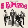 THE PRIMATES – we are the primates (LP Vinyl)