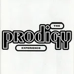 THE PRODIGY – experience (LP Vinyl)