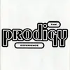 THE PRODIGY – experience (LP Vinyl)