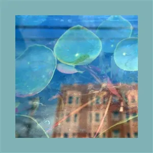 THE REDS, PINKS AND PURPLES – acknowlege kindness (CD, LP Vinyl)