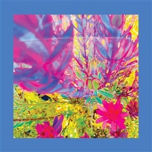 THE REDS, PINKS AND PURPLES – the past is a garden i never fed (CD, LP Vinyl)