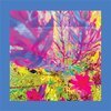 THE REDS, PINKS AND PURPLES – the past is a garden i never fed (CD, LP Vinyl)