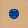 THE SATELLITERS – nothing left to tell (7" Vinyl)