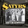 THE SATYRS – don´t be surprised (CD, LP Vinyl)