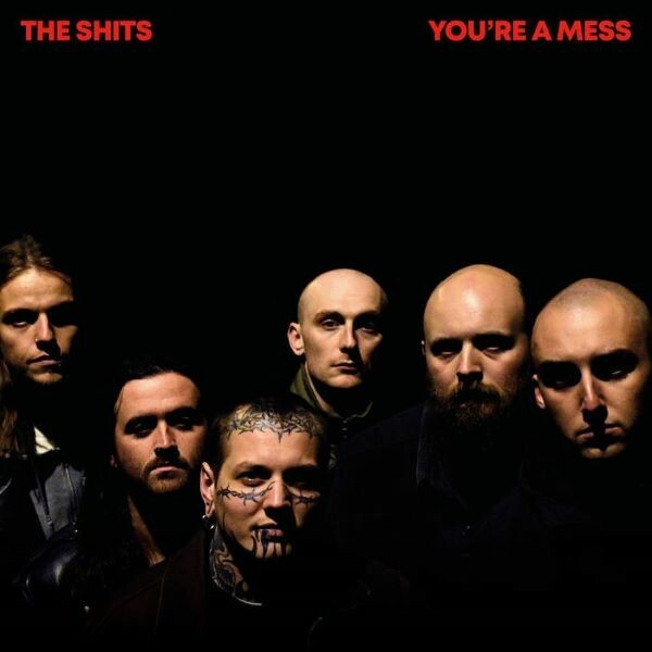 THE SHITS – you`re a mess (LP Vinyl)