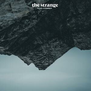 THE STRANGE – echo chamber (LP Vinyl)