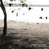 THE TALLEST MAN ON EARTH – there´s no leaving now (CD, LP Vinyl)