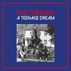 THE THREADS – a teenage dream (LP Vinyl)