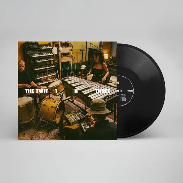THE TWIT 1 II THREE – s/t (LP Vinyl)